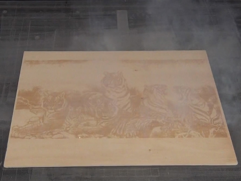 工業(yè) CO2 木版印刷激光打標(biāo)機 工業(yè) CO2 木版印刷激光打標(biāo)機