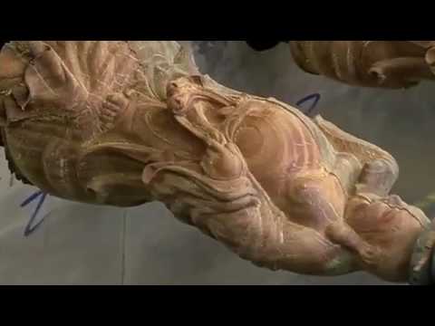 2025年最佳多頭數(shù)控雕刻機（帶多主軸）